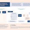 Reference: example pathway for managing results from LDCT screening