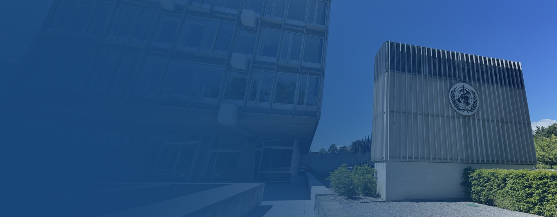 Insights from the 79th World Health Assembly